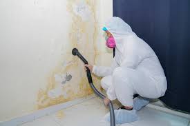 Best Mold Odor Removal Services  in Milan, OH